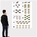 Picture of Dino Number Chart I _GroupedProduct_Rectangle_Portrait_Canvas_