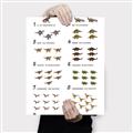 Picture of Dino Number Chart II  _GroupedProduct_Rectangle_Portrait_Canvas_