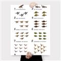 Picture of Dino Number Chart II  _GroupedProduct_Rectangle_Portrait_Canvas_