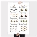 Picture of Dino Number Chart II  _GroupedProduct_Rectangle_Portrait_Canvas_