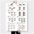 Picture of Dino Number Chart II  _GroupedProduct_Rectangle_Portrait_Canvas_