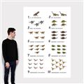 Picture of Dino Number Chart II  _GroupedProduct_Rectangle_Portrait_Canvas_