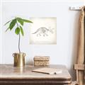 Picture of Learning Triceratops _GroupedProduct_Square_Canvas_