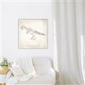 Picture of Learning T-Rex _GroupedProduct_Square_Canvas_Framed_