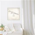 Picture of Learning T-Rex _GroupedProduct_Square_Canvas_Framed_