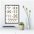 Picture of Dino Number Chart I _GroupedProduct_Rectangle_Portrait_Canvas_Framed_