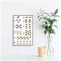 Picture of Dino Number Chart I _GroupedProduct_Rectangle_Portrait_Canvas_Framed_