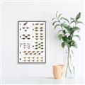 Picture of Dino Number Chart I _GroupedProduct_Rectangle_Portrait_Canvas_Framed_