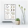 Picture of Dino Number Chart II  _GroupedProduct_Rectangle_Portrait_Canvas_Framed_