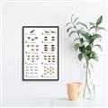 Picture of Dino Number Chart II  _GroupedProduct_Rectangle_Portrait_Canvas_Framed_