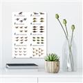 Picture of Dino Number Chart II  _GroupedProduct_Rectangle_Portrait_Unframed_Print_Only_