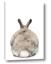 Picture of Behind Bunny