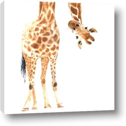 Picture of Bending over Giraffe