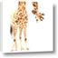 Picture of Bending over Giraffe