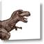 Picture of Brown Trex