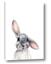 Picture of Floppy Bunny