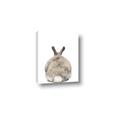 Picture of Behind Bunny _GroupedProduct_Rectangle_Portrait_Canvas_