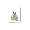 Picture of Behind Bunny _GroupedProduct_Rectangle_Portrait_Canvas_
