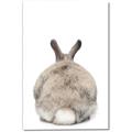 Picture of Behind Bunny _GroupedProduct_Rectangle_Portrait_Canvas_