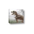 Picture of Trex in the Woods _GroupedProduct_Square_Canvas_