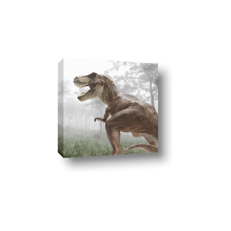 Picture of Trex in the Woods _GroupedProduct_Square_Canvas_