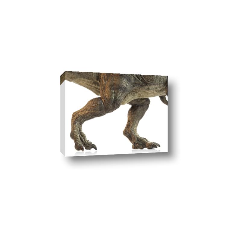 Picture of Stomp Around _GroupedProduct_Rectangle_Landscape_Canvas_