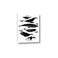 Picture of Ocean Life Black and White _GroupedProduct_Rectangle_Portrait_Canvas_
