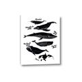Picture of Ocean Life Black and White _GroupedProduct_Rectangle_Portrait_Canvas_