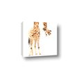 Picture of Bending over Giraffe _GroupedProduct_Square_Canvas_