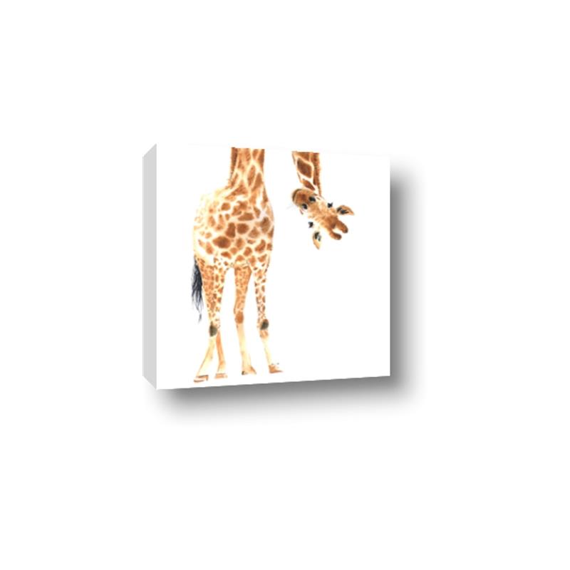Picture of Bending over Giraffe _GroupedProduct_Square_Canvas_