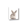 Picture of In Front Bunny _GroupedProduct_Rectangle_Portrait_Canvas_