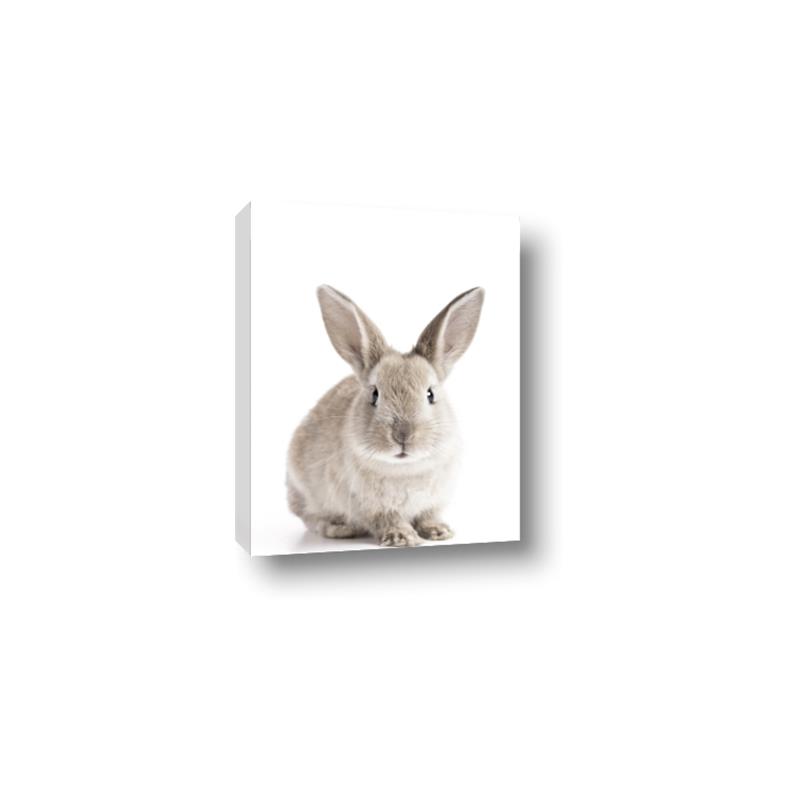 Picture of In Front Bunny _GroupedProduct_Rectangle_Portrait_Canvas_