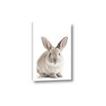 Picture of In Front Bunny _GroupedProduct_Rectangle_Portrait_Canvas_