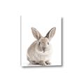 Picture of In Front Bunny _GroupedProduct_Rectangle_Portrait_Canvas_