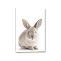 Picture of In Front Bunny _GroupedProduct_Rectangle_Portrait_Canvas_