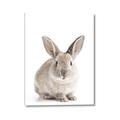 Picture of In Front Bunny _GroupedProduct_Rectangle_Portrait_Canvas_