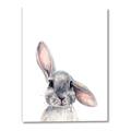 Picture of Floppy Bunny _GroupedProduct_Rectangle_Portrait_Canvas_