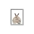 Picture of Behind Bunny _GroupedProduct_Rectangle_Portrait_Canvas_Framed_
