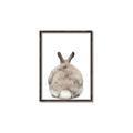 Picture of Behind Bunny _GroupedProduct_Rectangle_Portrait_Canvas_Framed_