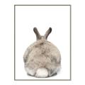 Picture of Behind Bunny _GroupedProduct_Rectangle_Portrait_Canvas_Framed_