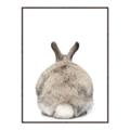 Picture of Behind Bunny _GroupedProduct_Rectangle_Portrait_Canvas_Framed_