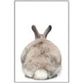 Picture of Behind Bunny _GroupedProduct_Rectangle_Portrait_Canvas_Framed_