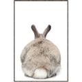 Picture of Behind Bunny _GroupedProduct_Rectangle_Portrait_Canvas_Framed_
