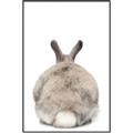 Picture of Behind Bunny _GroupedProduct_Rectangle_Portrait_Canvas_Framed_
