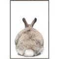 Picture of Behind Bunny _GroupedProduct_Rectangle_Portrait_Canvas_Framed_