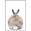 Picture of Behind Bunny _GroupedProduct_Rectangle_Portrait_Canvas_Framed_