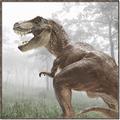 Picture of Trex in the Woods _GroupedProduct_Square_Canvas_Framed_