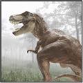 Picture of Trex in the Woods _GroupedProduct_Square_Canvas_Framed_