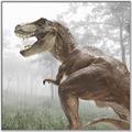 Picture of Trex in the Woods _GroupedProduct_Square_Canvas_Framed_