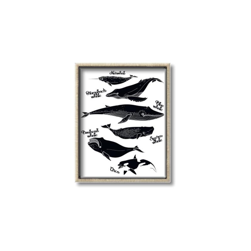 Picture of Ocean Life Black and White _GroupedProduct_Rectangle_Portrait_Canvas_Framed_